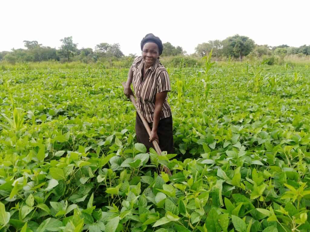 Caring for her flourishing soya beans she planted in her garden